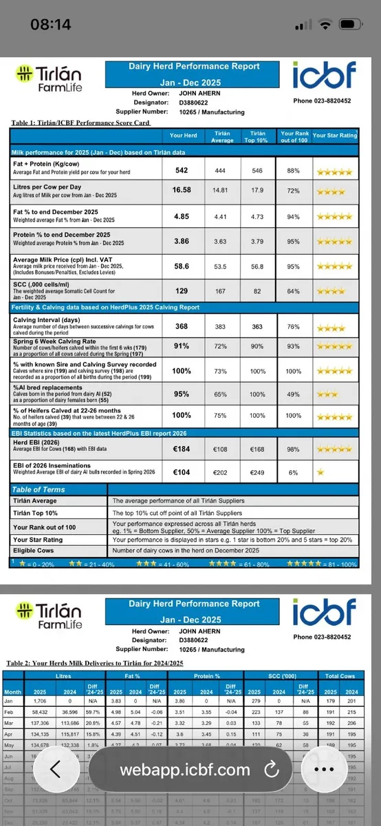 High EBI freshly Calved heifers - Image 2
