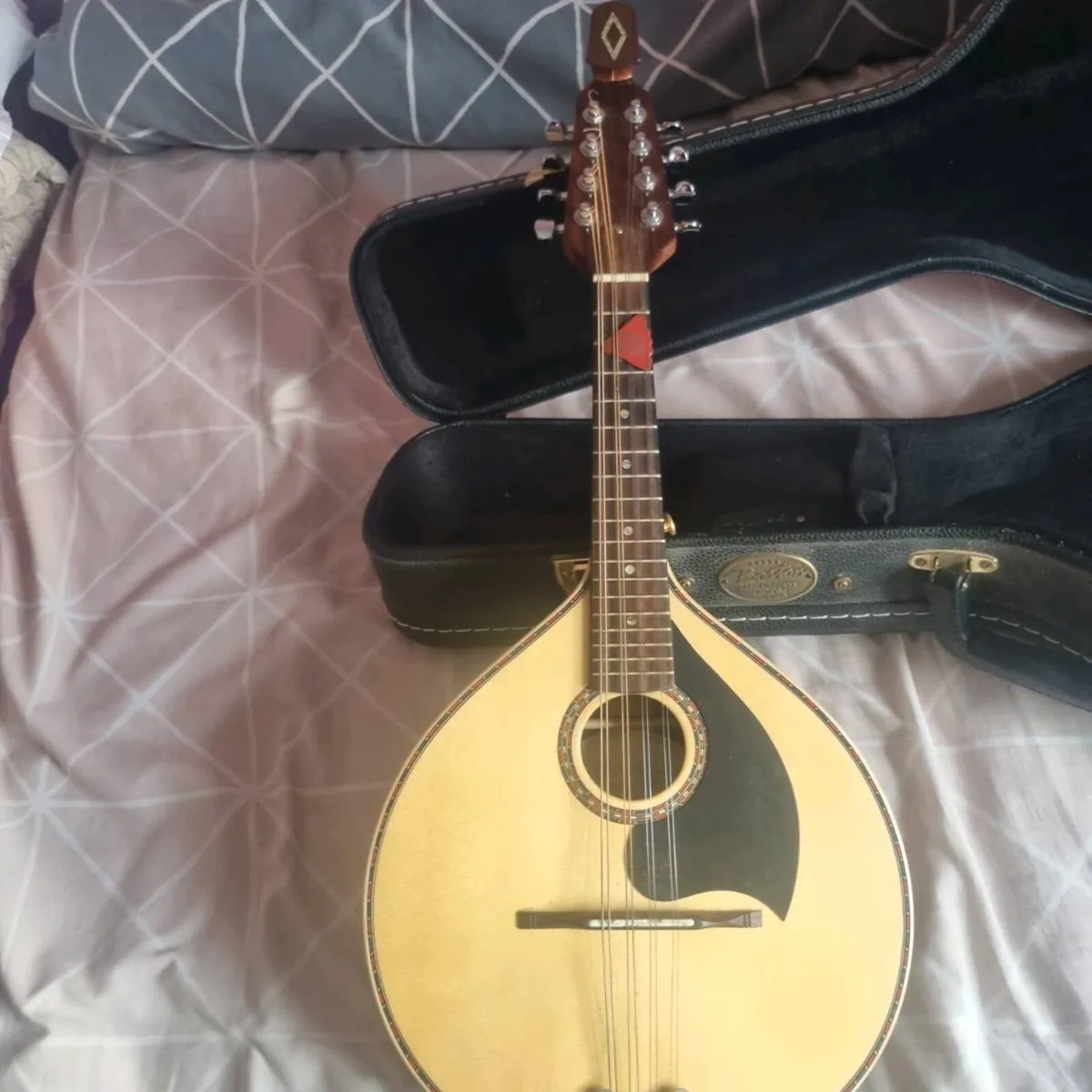 Joe foley mandolin - Image 1