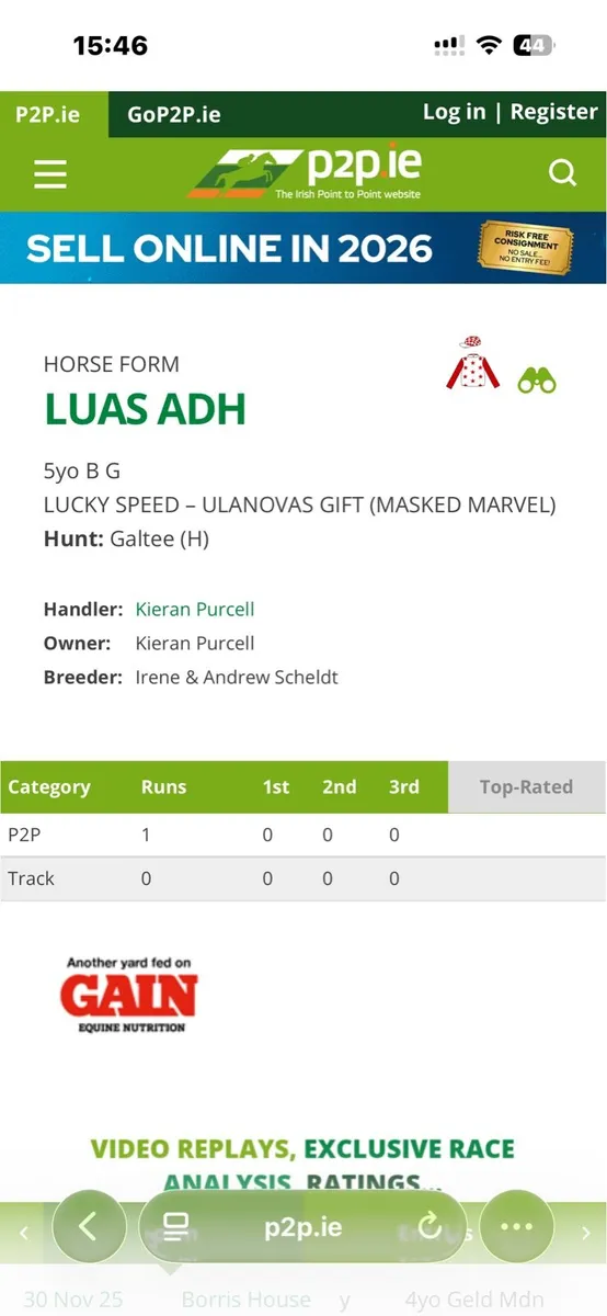 5yr old quiet tb - Image 2