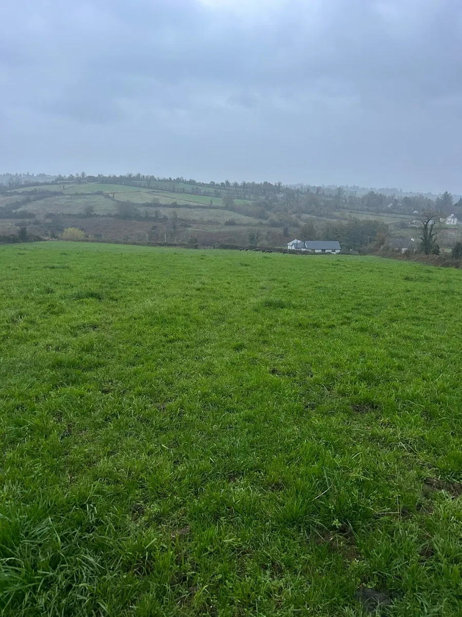 Direct Drilling / Grass Stitching / Overseeding - Image 3