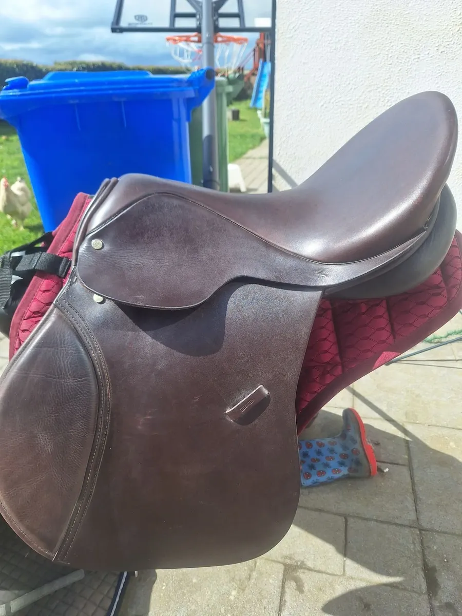 Berneys saddle - Image 4