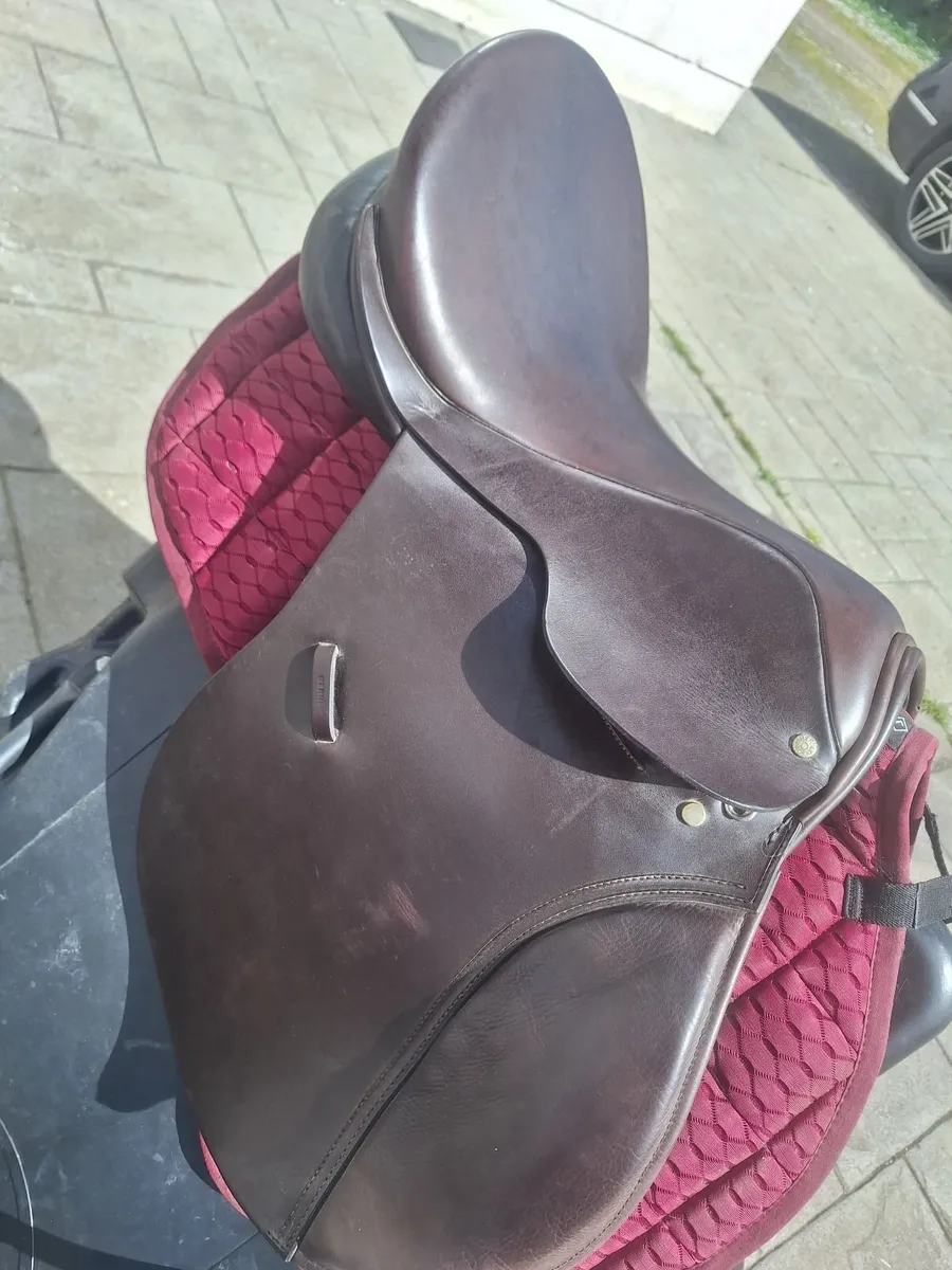 Berneys saddle - Image 1