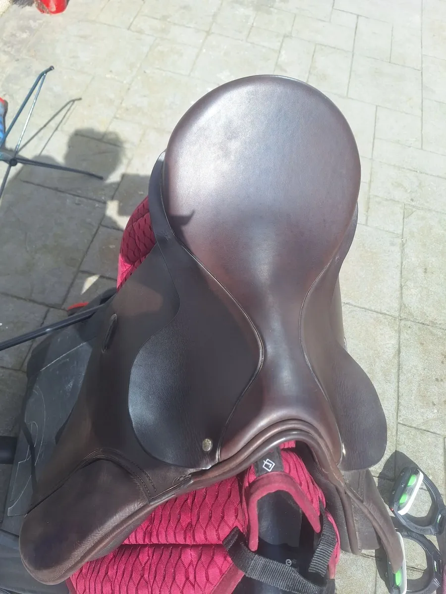 Berneys saddle - Image 2