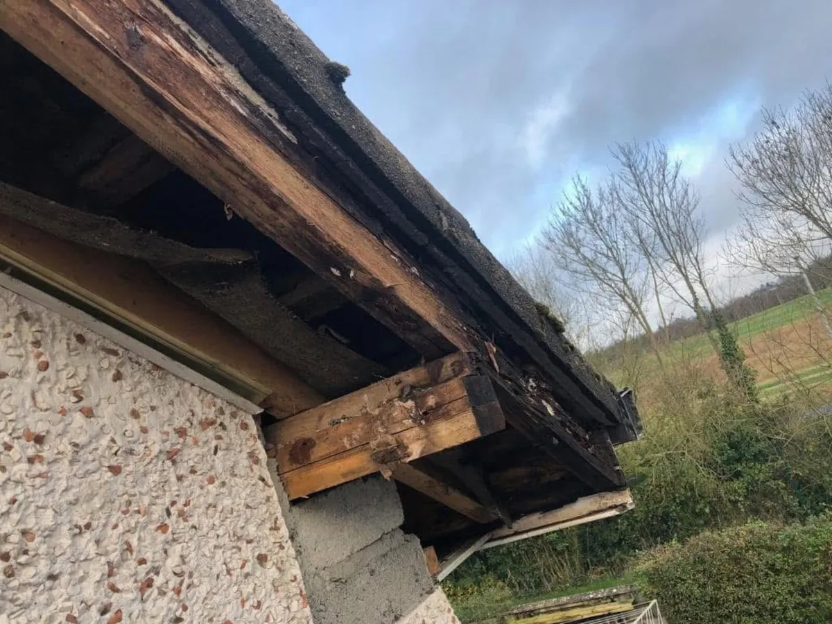 Leaking Gutters or Rotten Fascia? Cavan Roofline - Image 4
