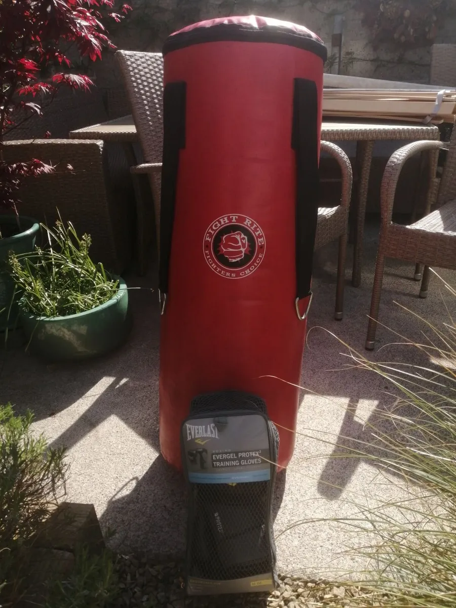 Punch bag and ploves