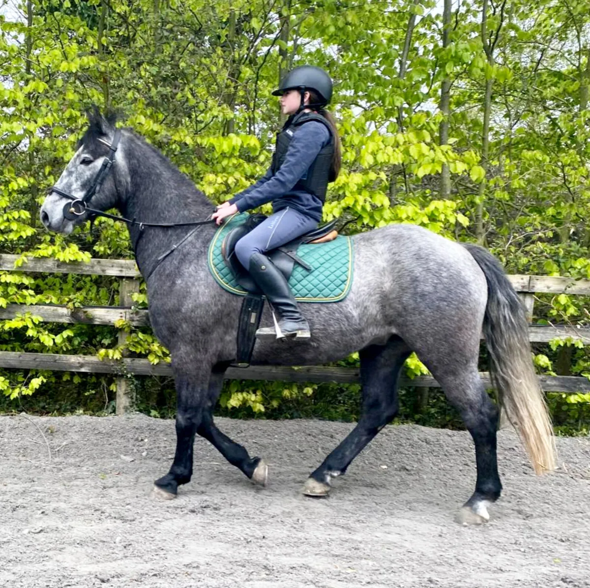 Overheight Connemara - Image 3