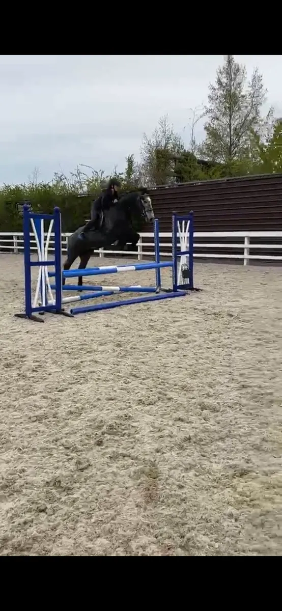 Overheight Connemara - Image 4