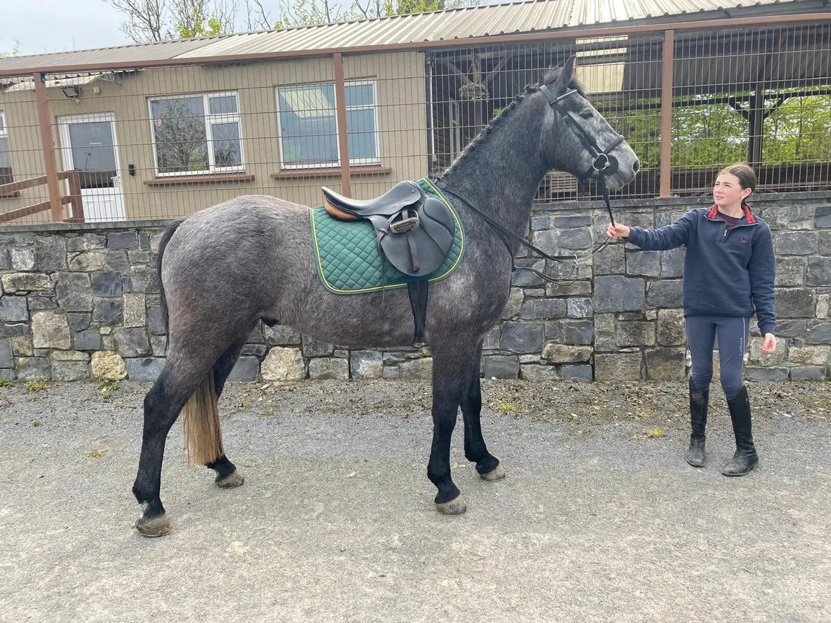 Overheight Connemara - Image 2