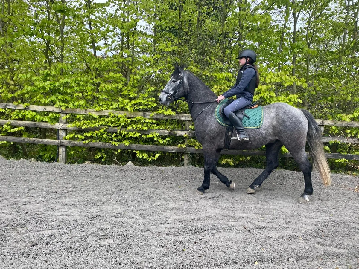 Overheight Connemara - Image 3