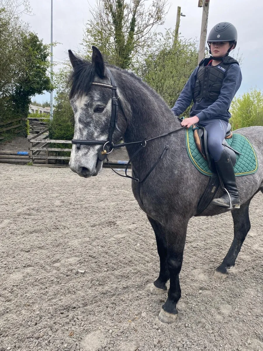 Overheight Connemara - Image 4