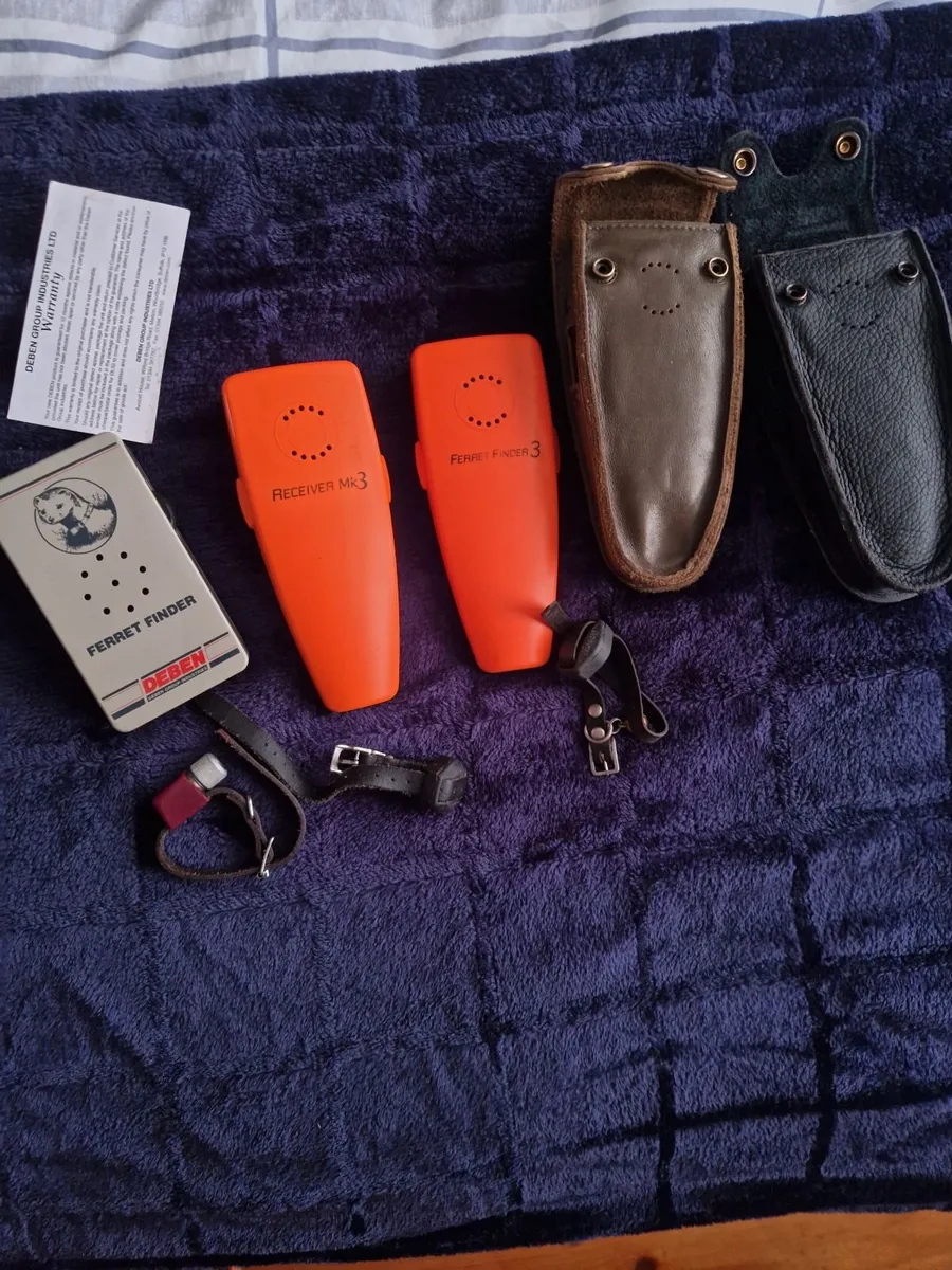 Ferret finder's - Image 1