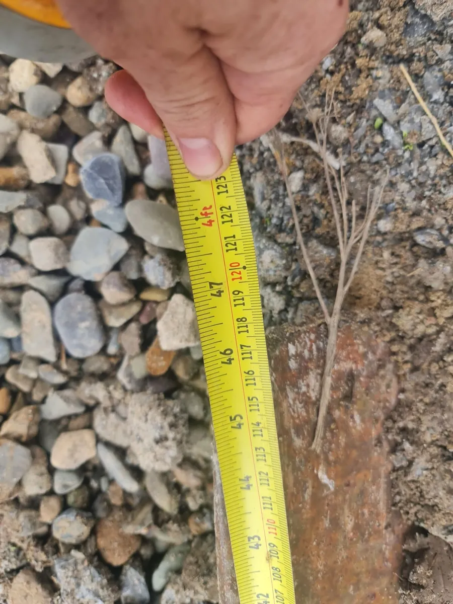 Pallet forks pallet prongs suit 20 inch backplate - Image 4