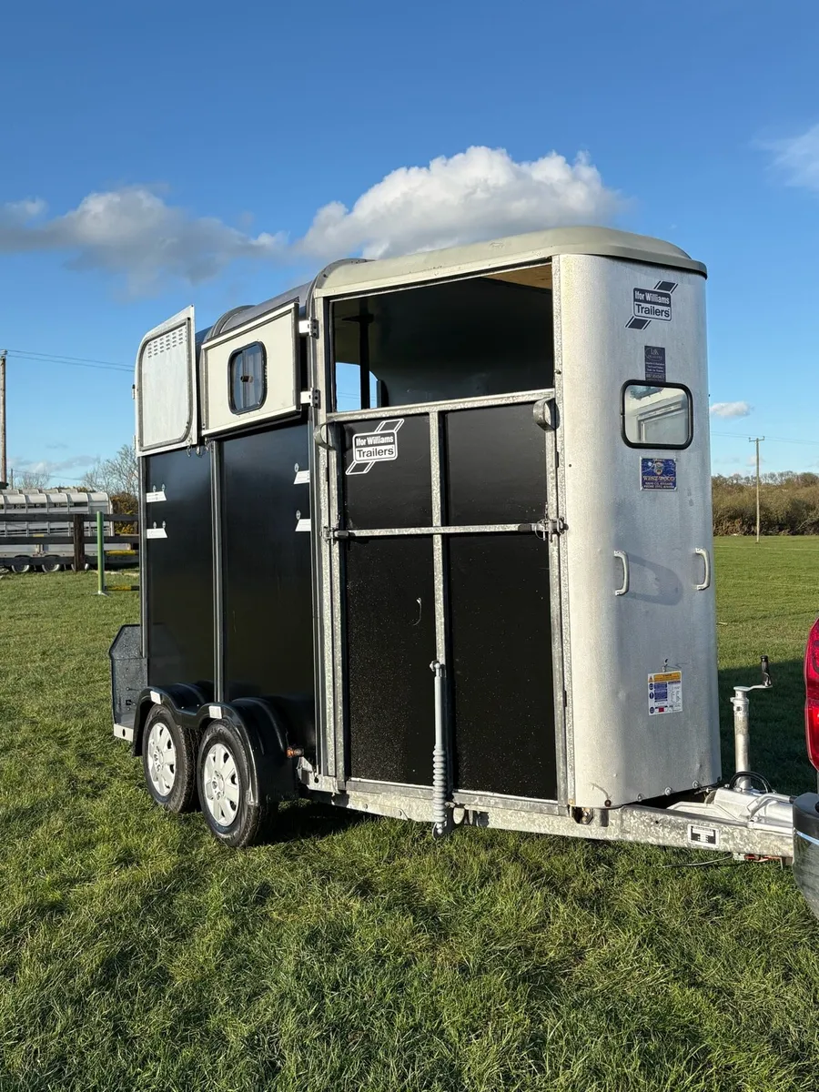 Iforwillams HB505 Classic - Image 1