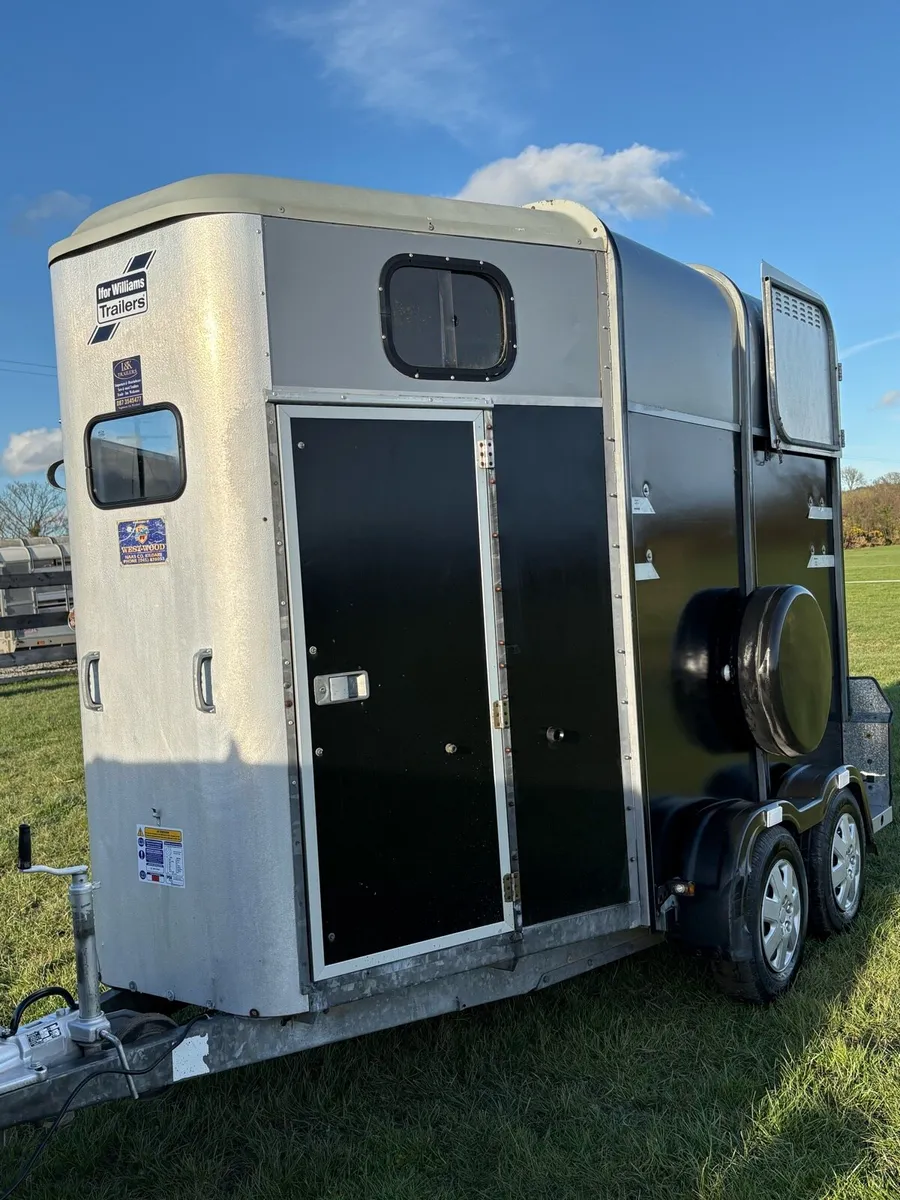 Iforwillams HB505 Classic - Image 2