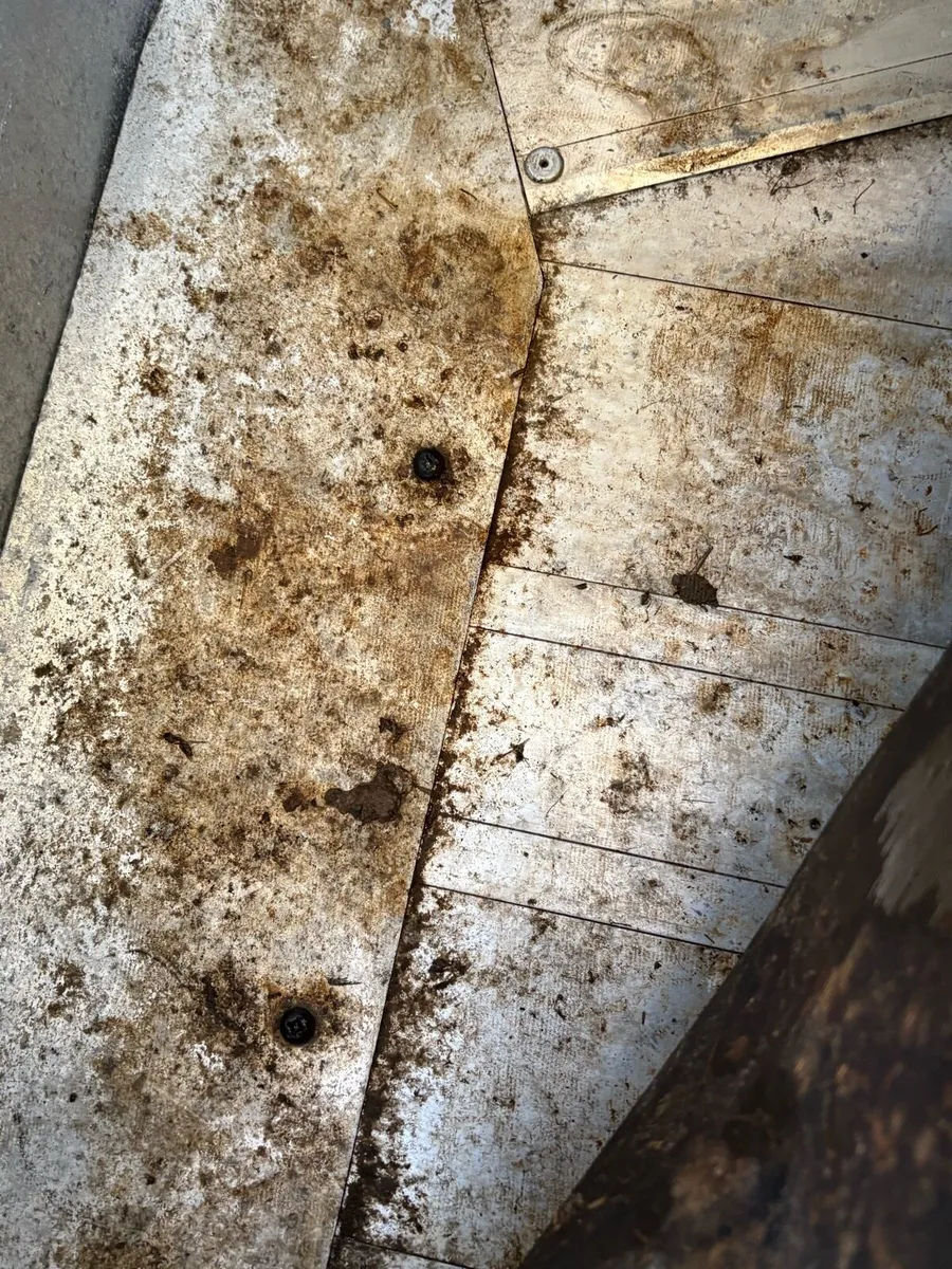 Iforwillams HB505 Classic - Image 4