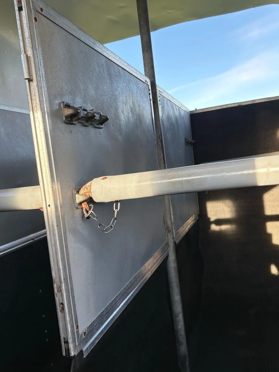 Iforwillams HB505 Classic - Image 3