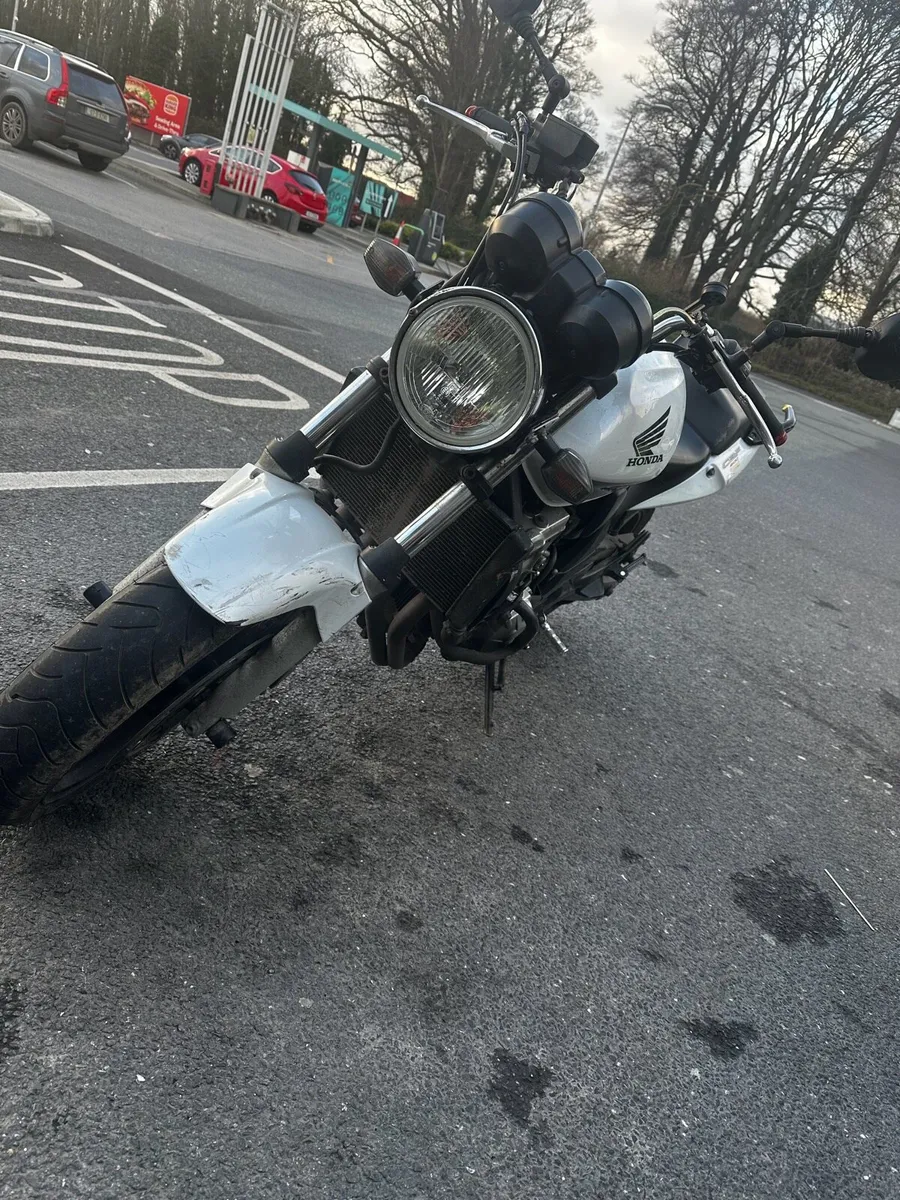 Honda cbf600 - Image 2