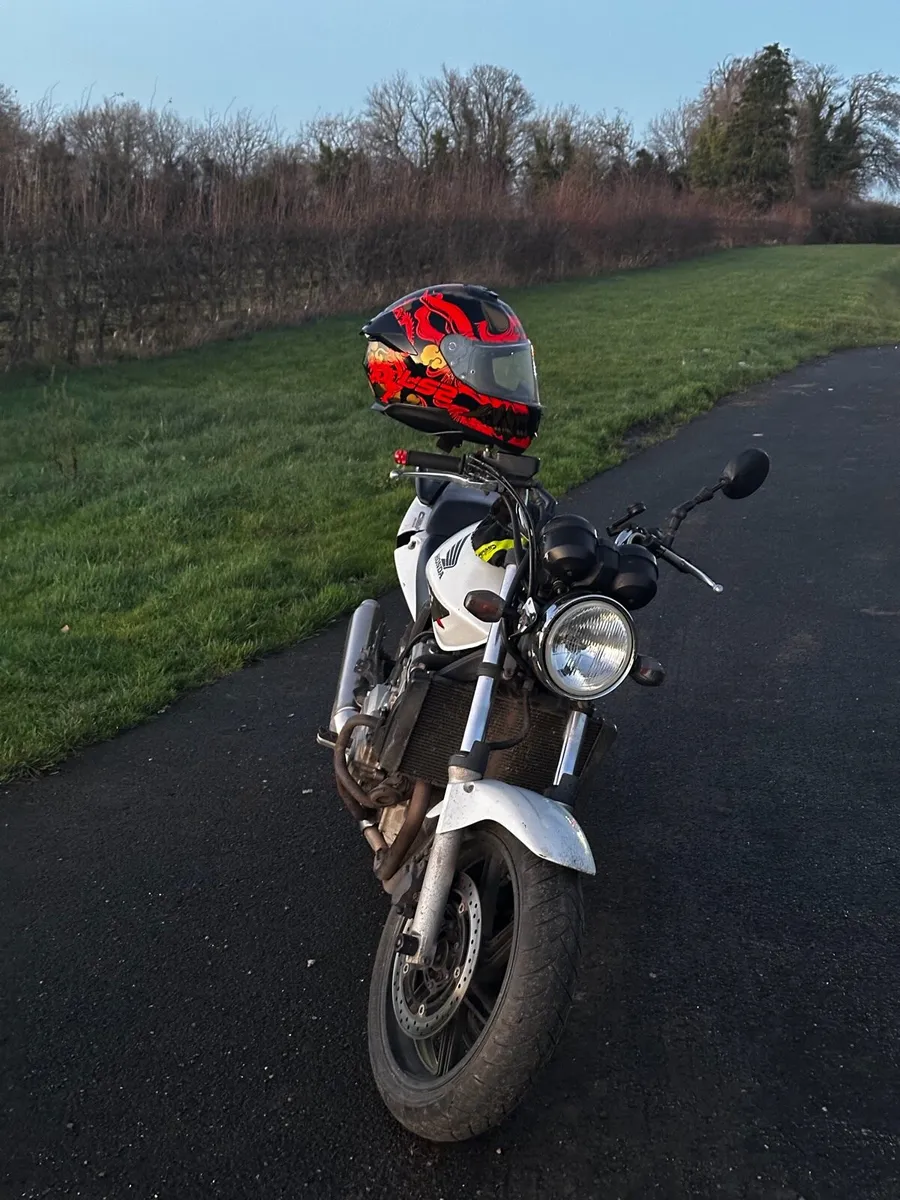 Honda cbf600 - Image 4