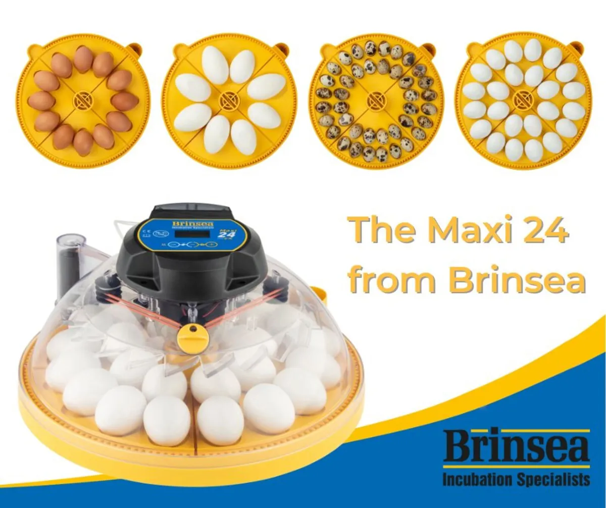 Brinsea Maxi 24 Egg Incubators Poultry Duck Goose - Image 3