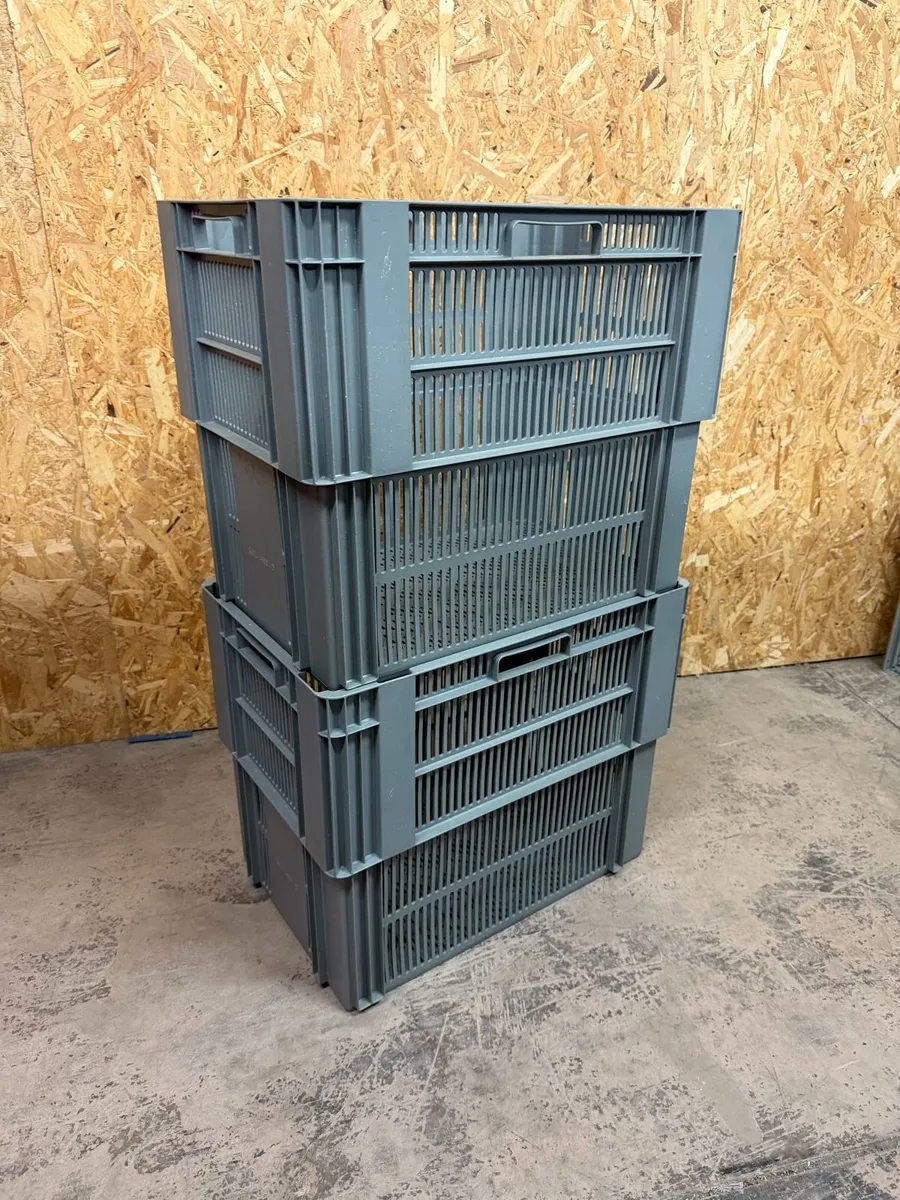 Storage Boxes - CLEARANCE SALE - Image 4