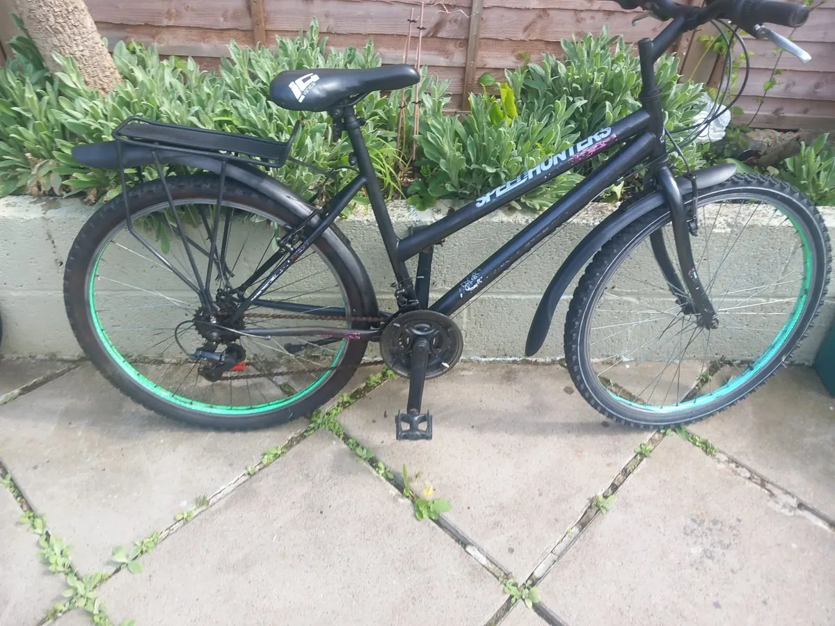 ladies mountain bike - Image 1