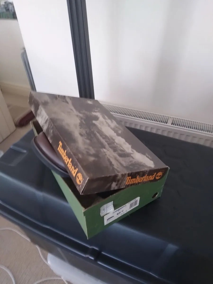 Shoes Timberland Brand New - Image 1