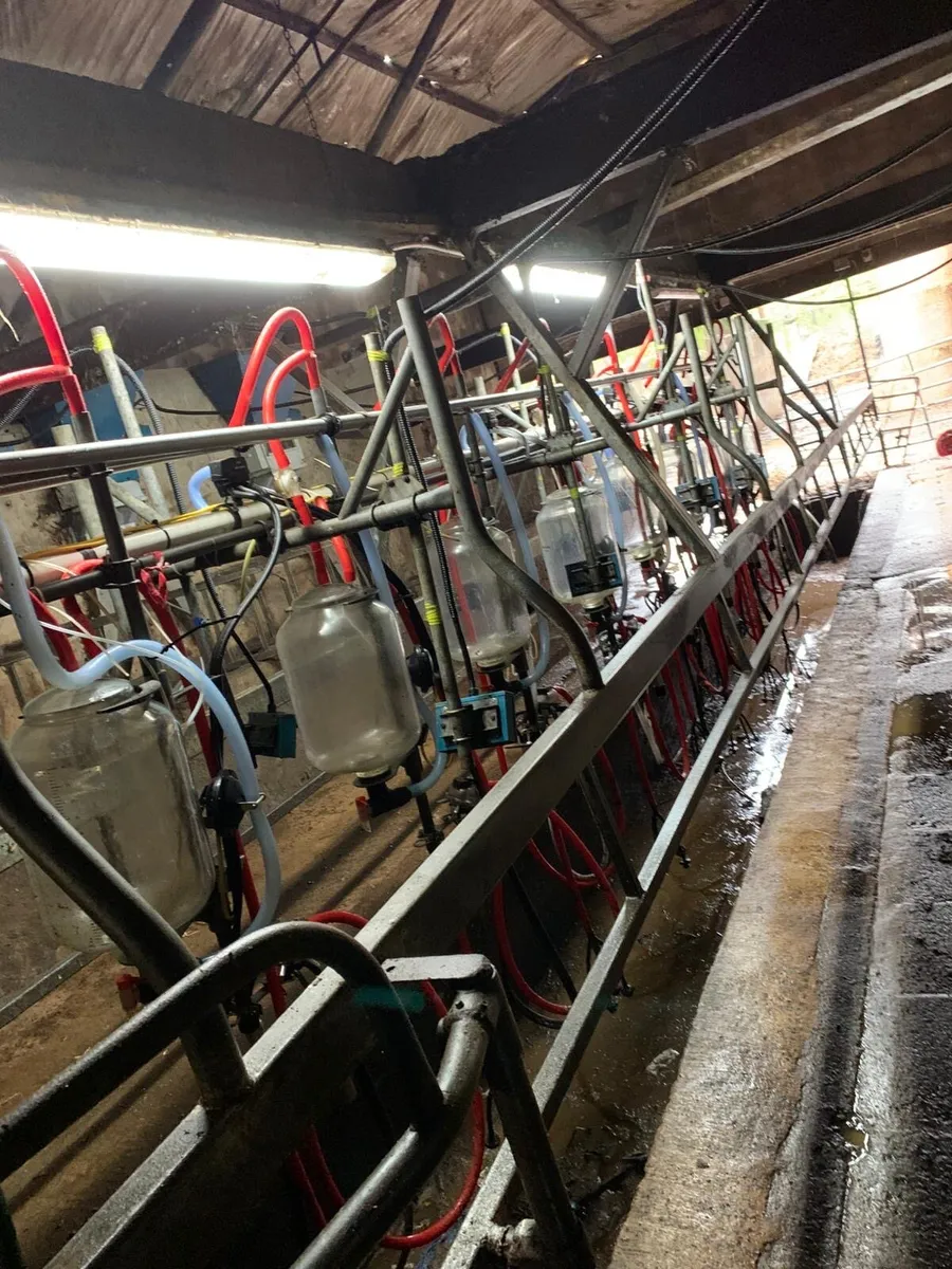 Milking parlour - Image 2