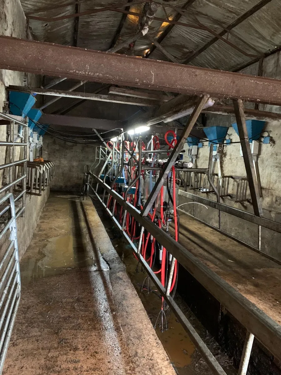 Milking parlour - Image 3