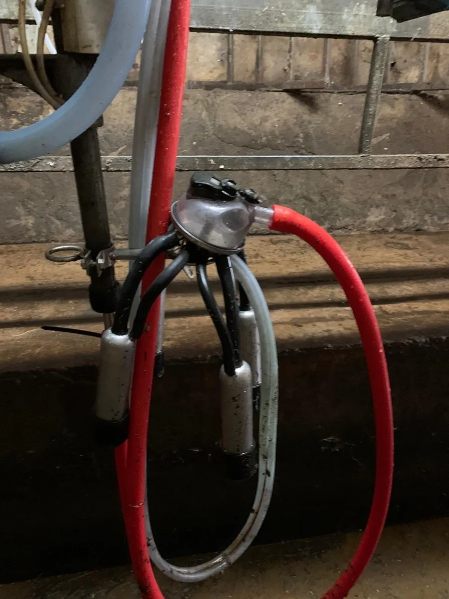 Milking parlour - Image 4