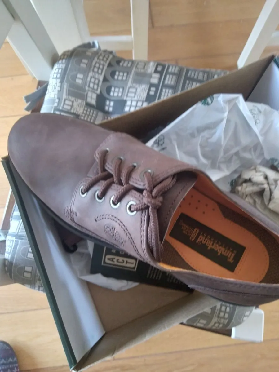 Shoes Timberland Brand New - Image 1