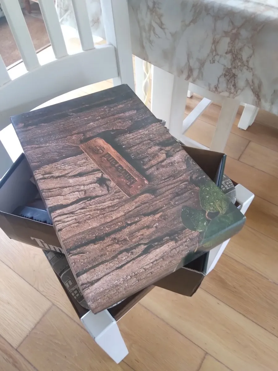 Shoes Timberland Brand New - Image 3