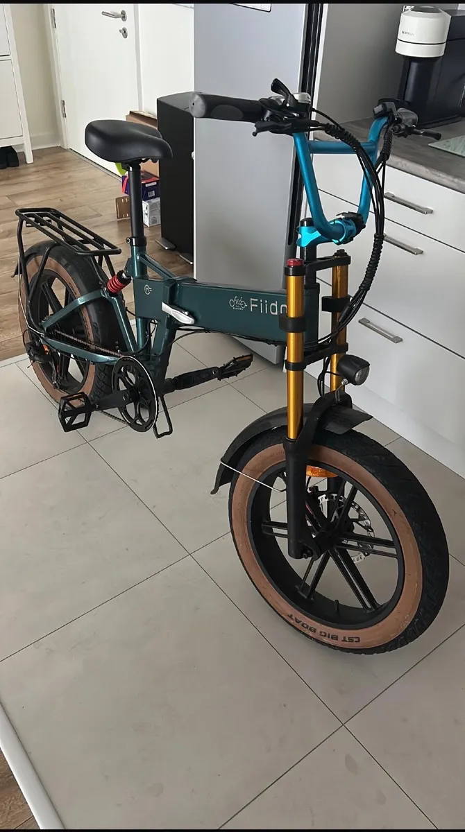 Fiido M1 Pro Urban Edition Electric Bike - Image 1