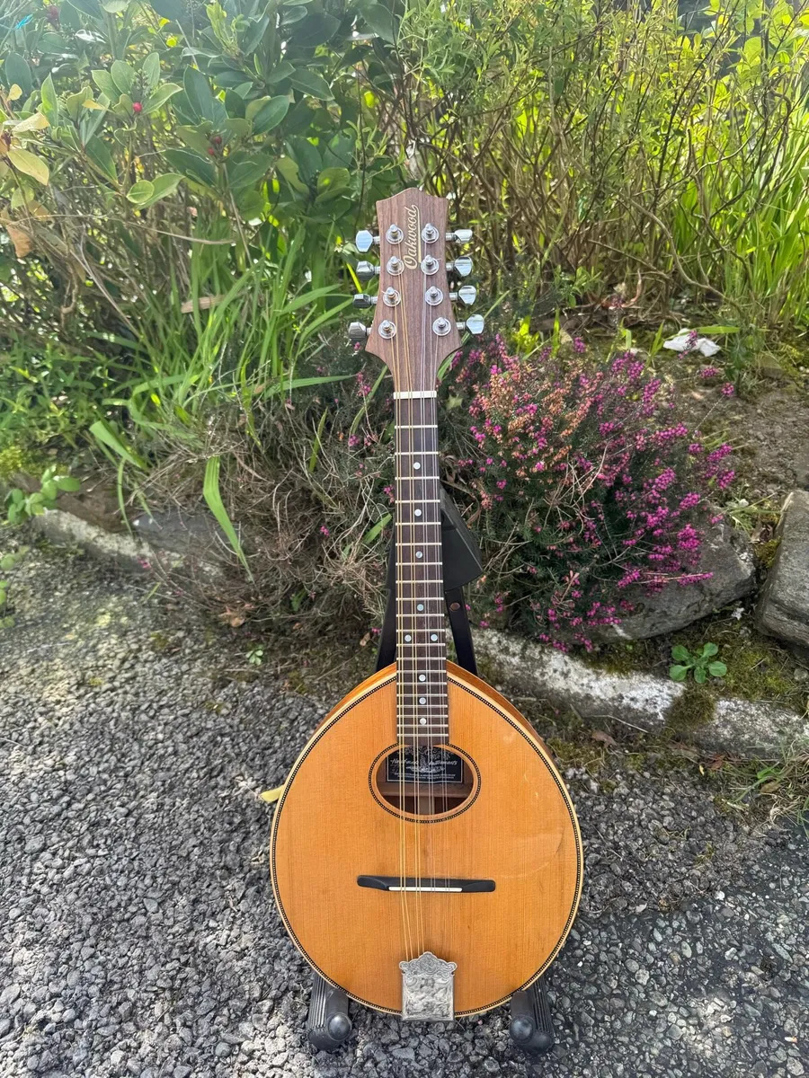 Oakwood Mandolin - Image 1