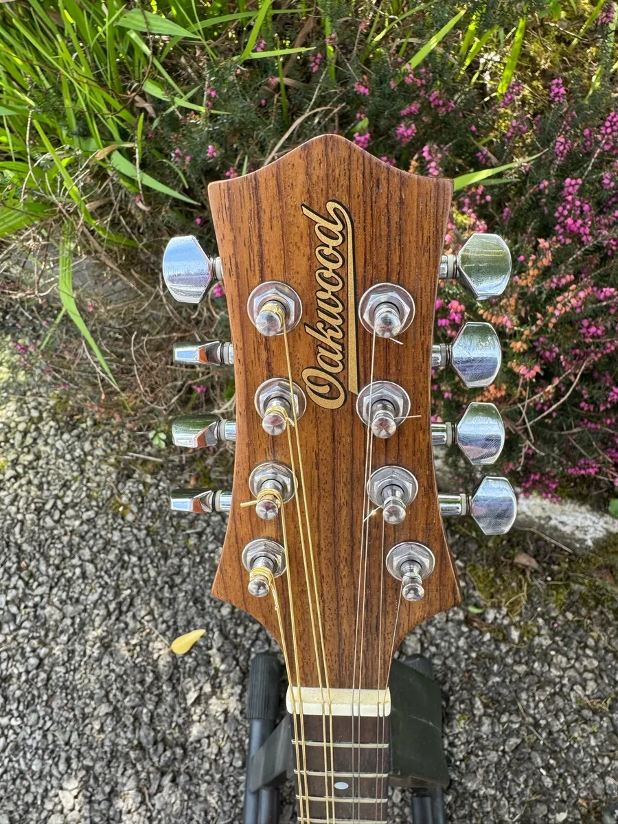 Oakwood Mandolin - Image 2