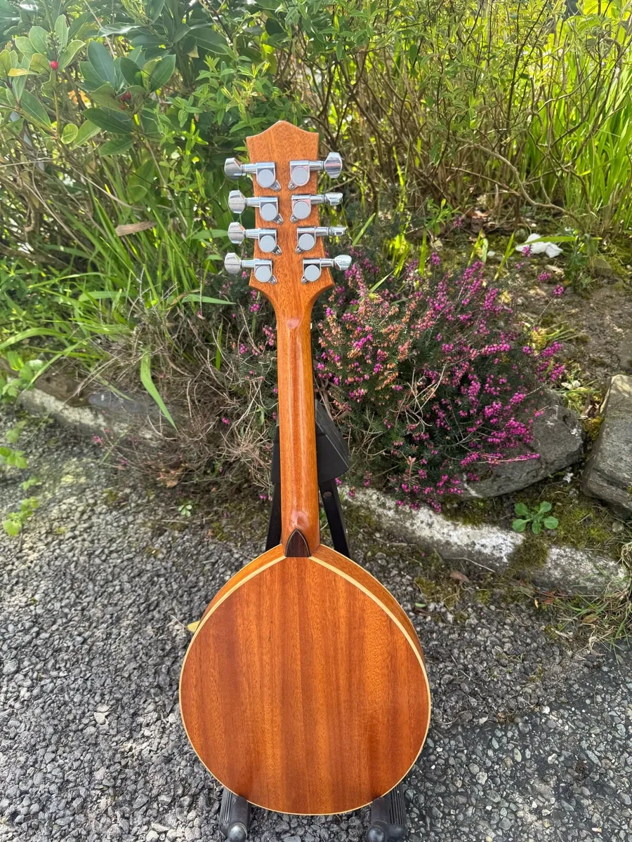 Oakwood Mandolin - Image 3