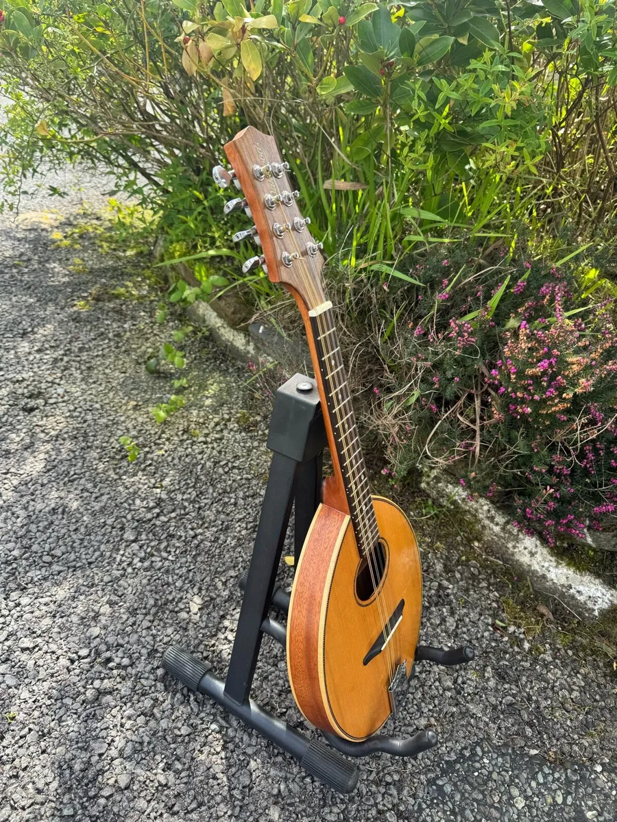 Oakwood Mandolin - Image 4