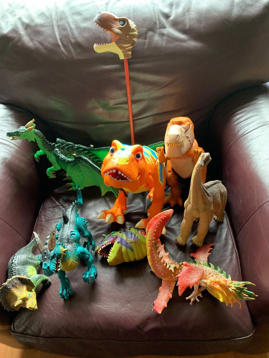 Dinosaur bungle - Image 2