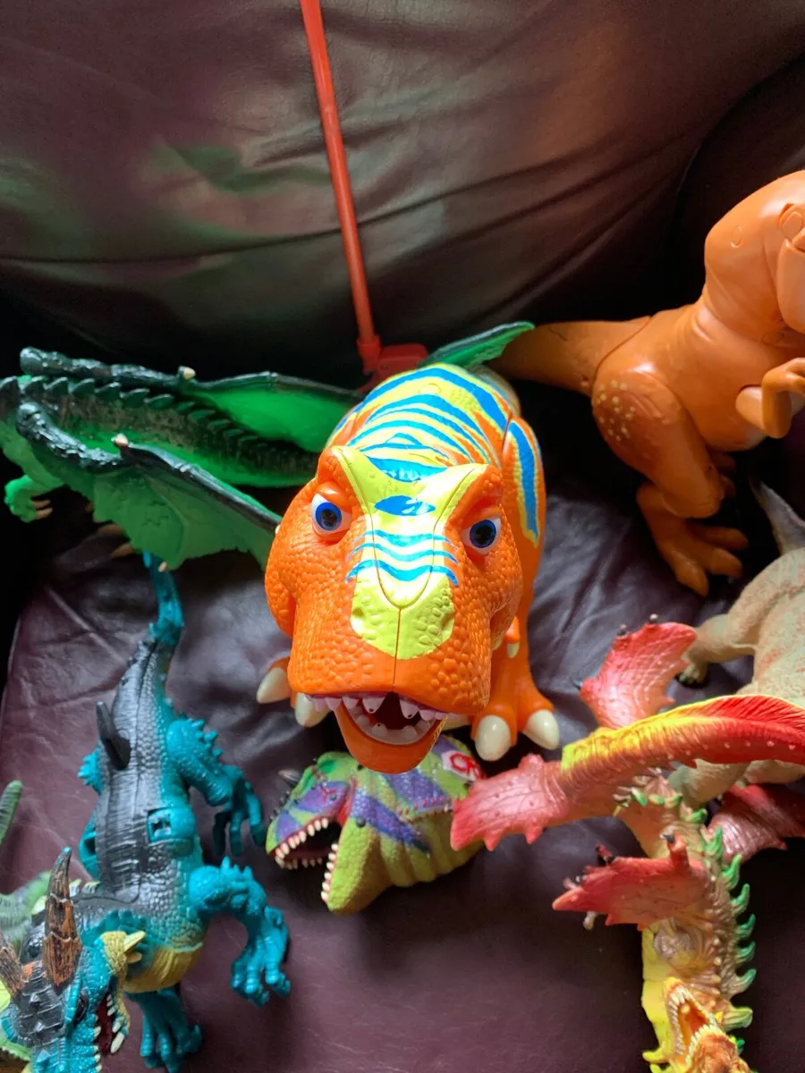 Dinosaur bungle - Image 1
