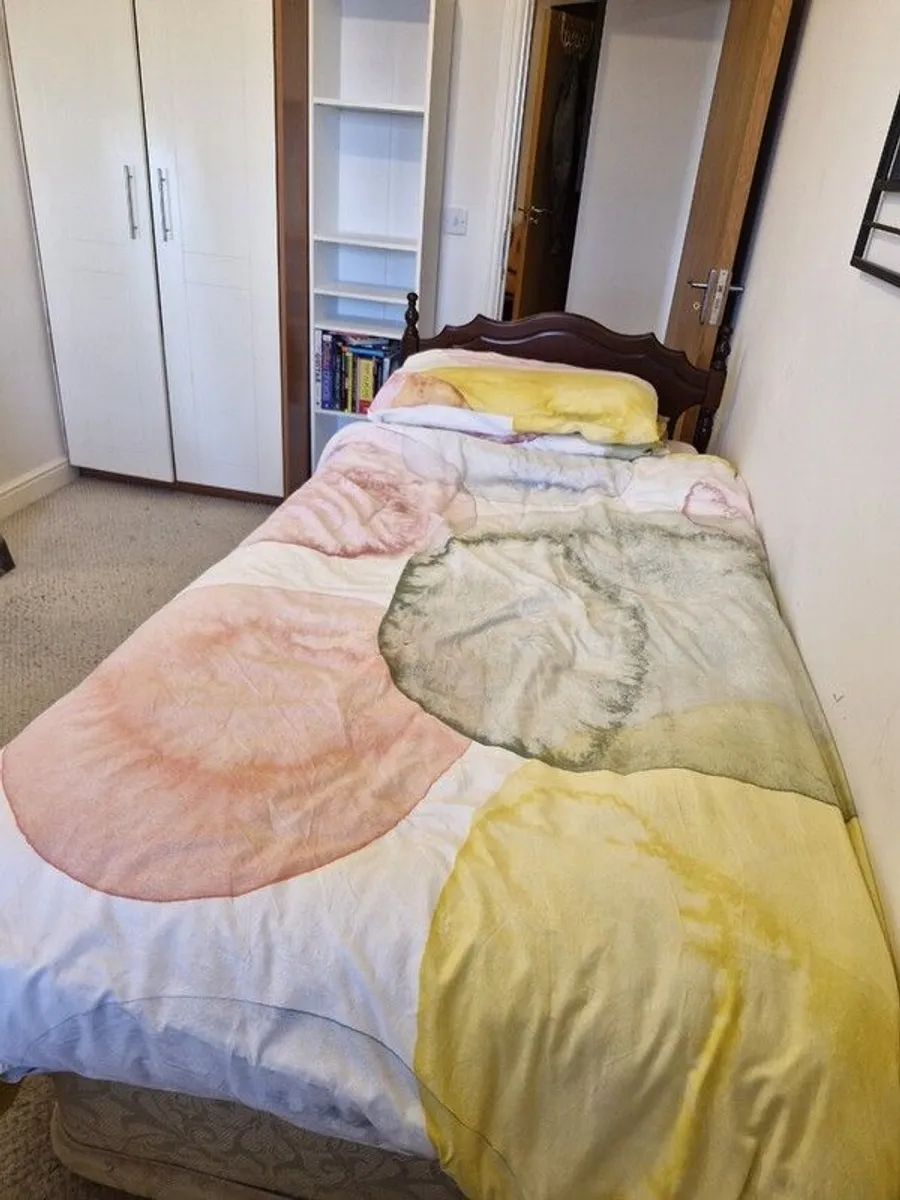 Beautful and Vintage Style Single Bed & Mattress - Image 2