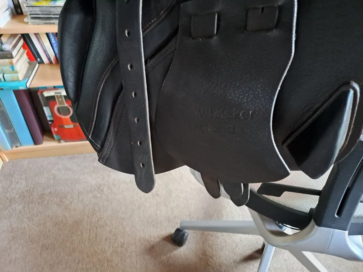 Saddle - Image 3