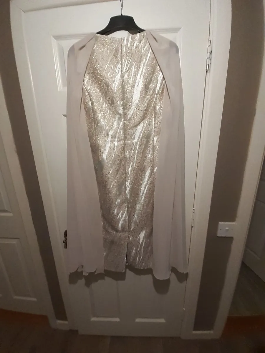 Mother Of The Bride Dress - Image 1