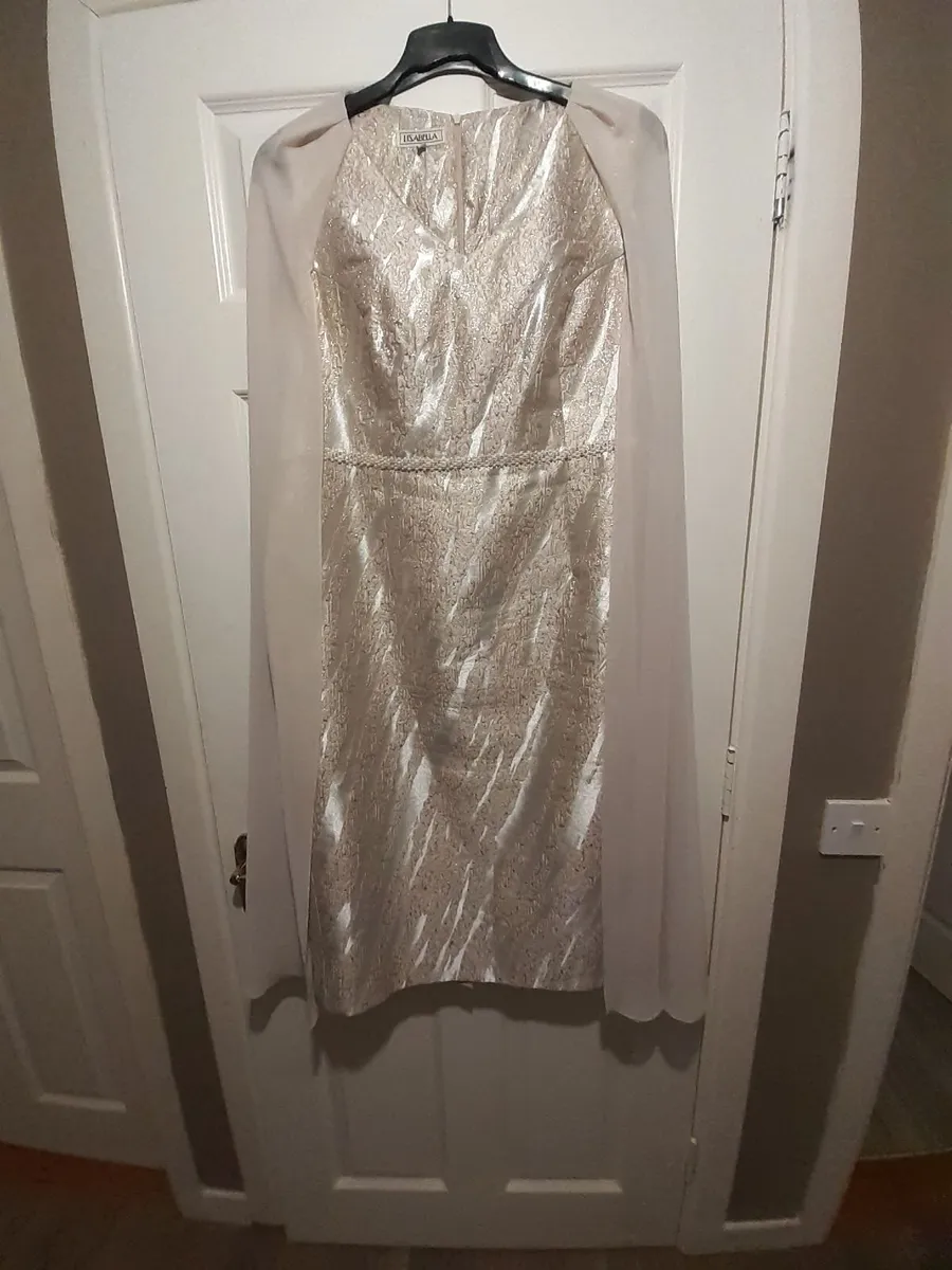 Mother Of The Bride Dress - Image 3