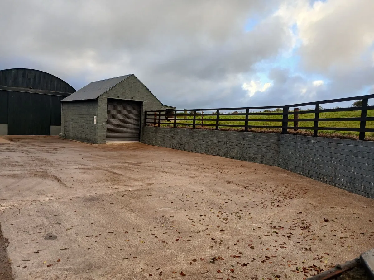 Shed and yard for rent - Image 2