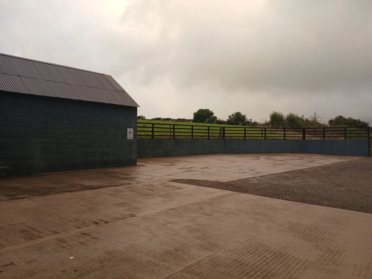 Shed and yard for rent - Image 3