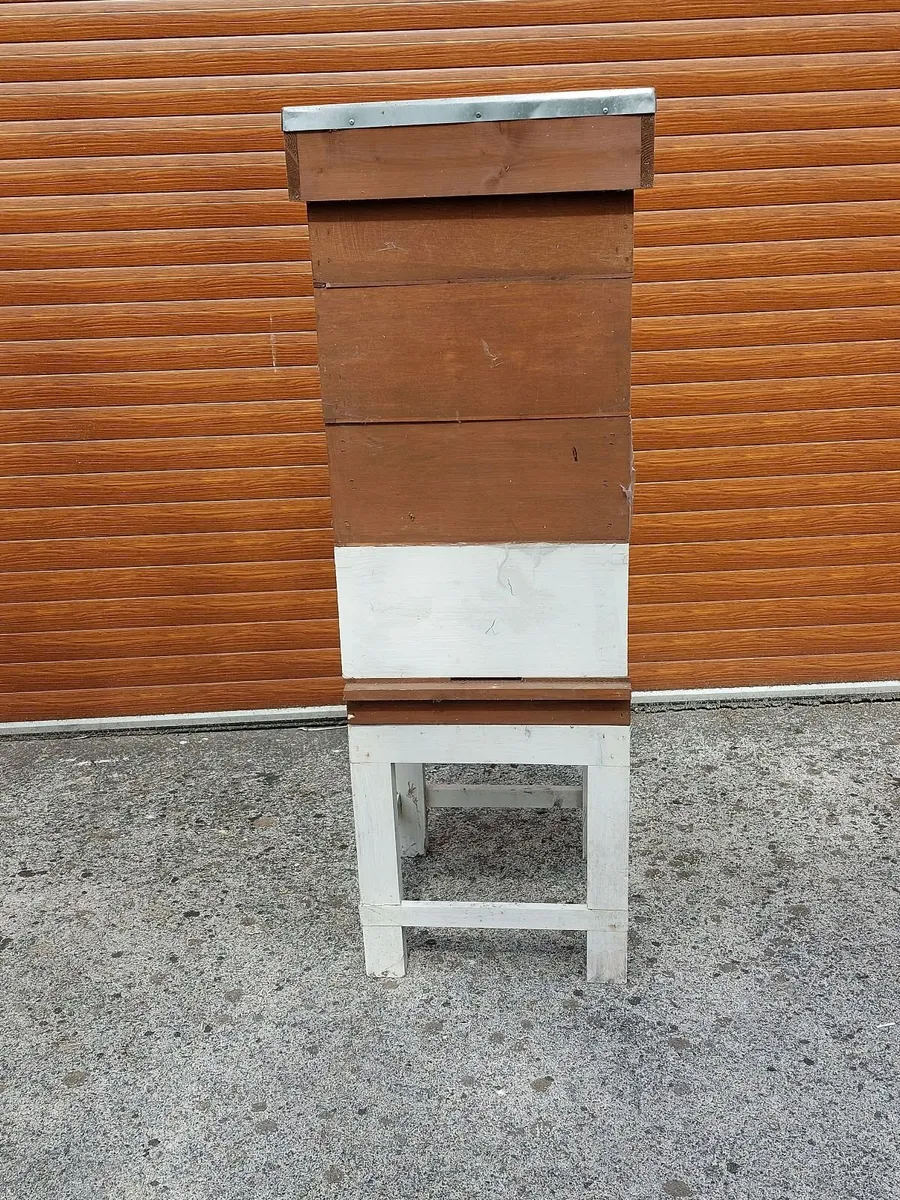 Beehives - Image 1