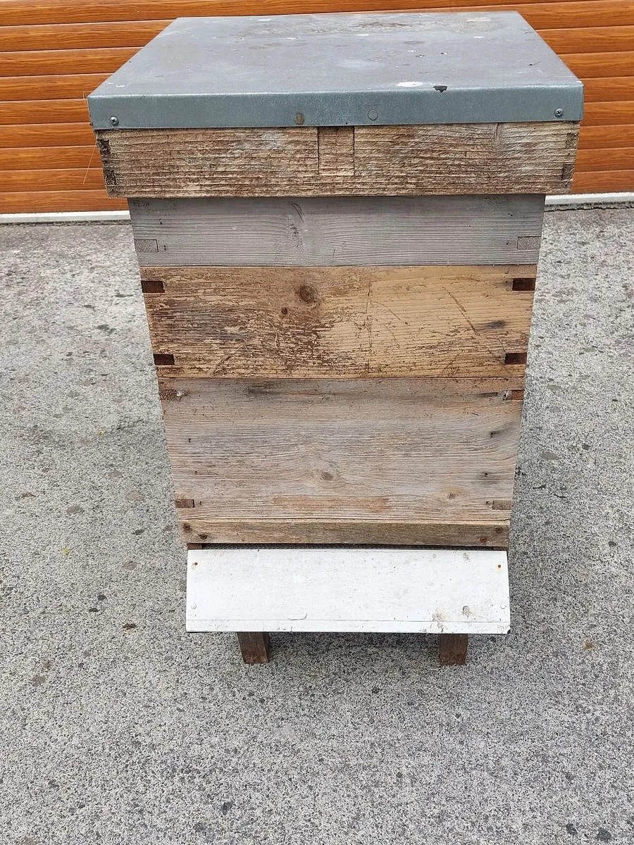 Beehives - Image 2
