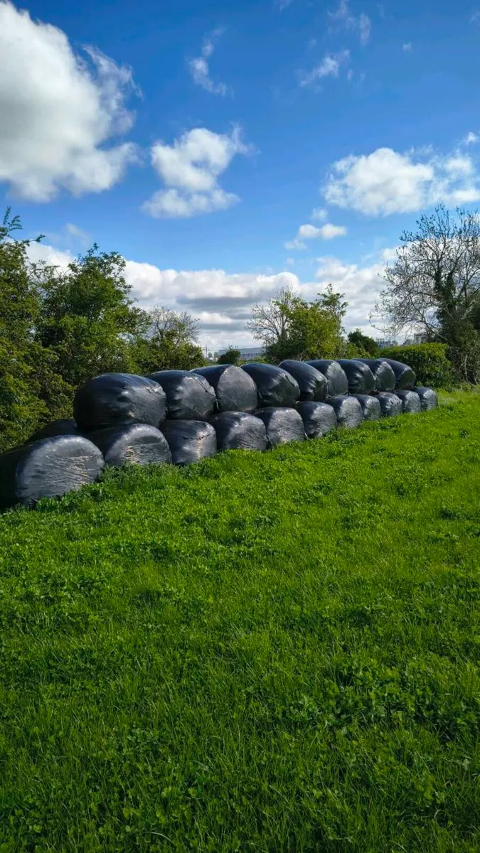 Silage - Image 1