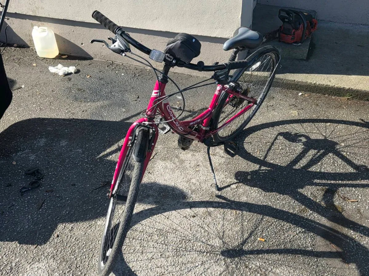 Ladies push bike - Image 3