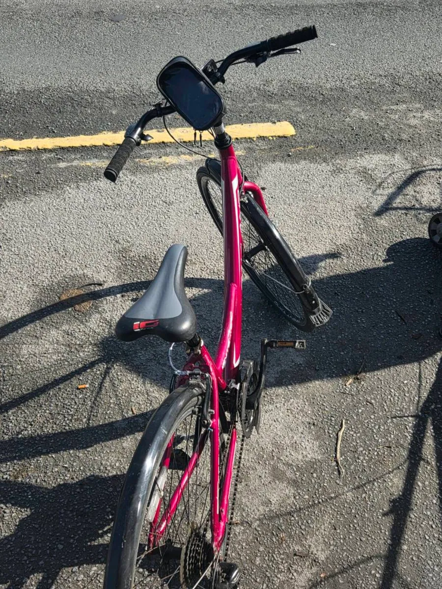Ladies push bike - Image 4