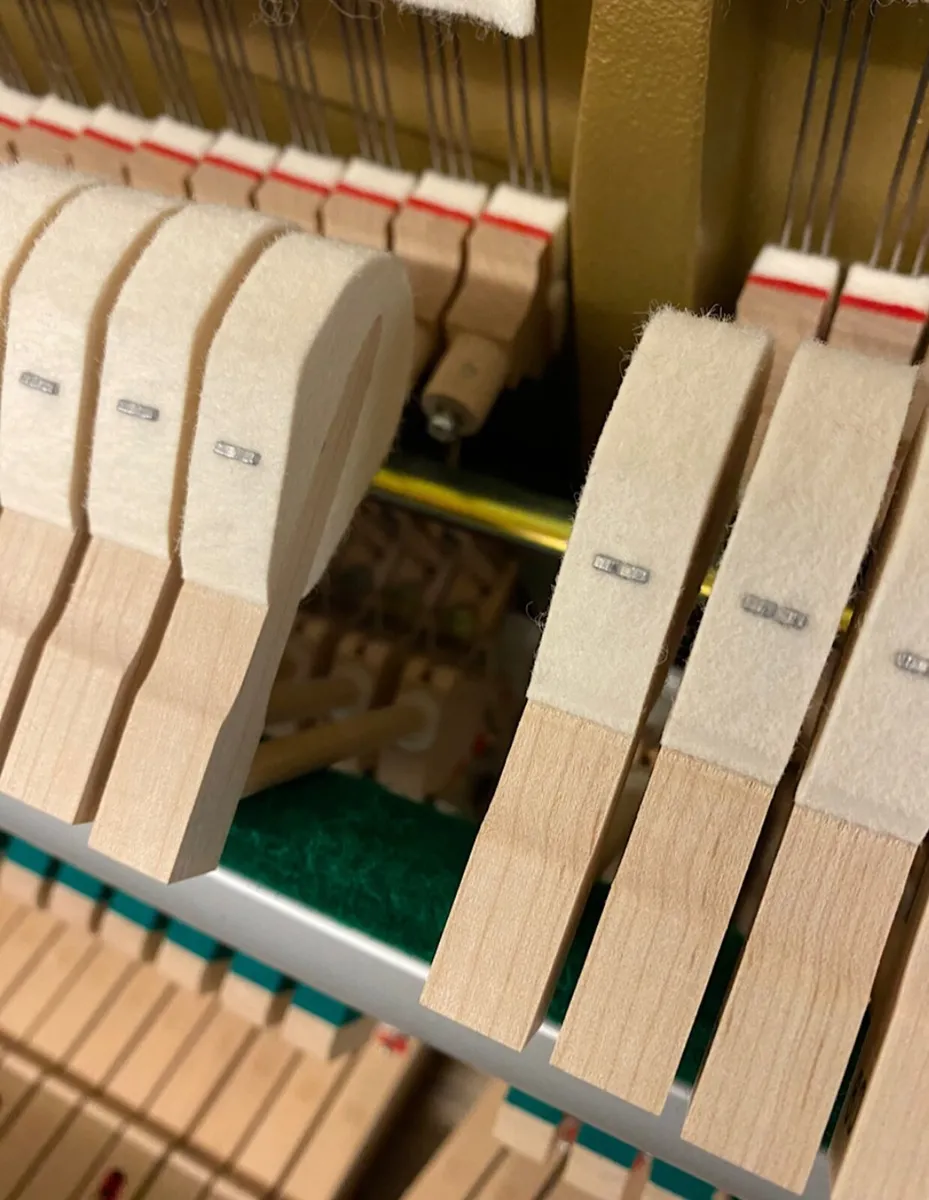 2007 Yamaha | Exceptional Quality - Image 4